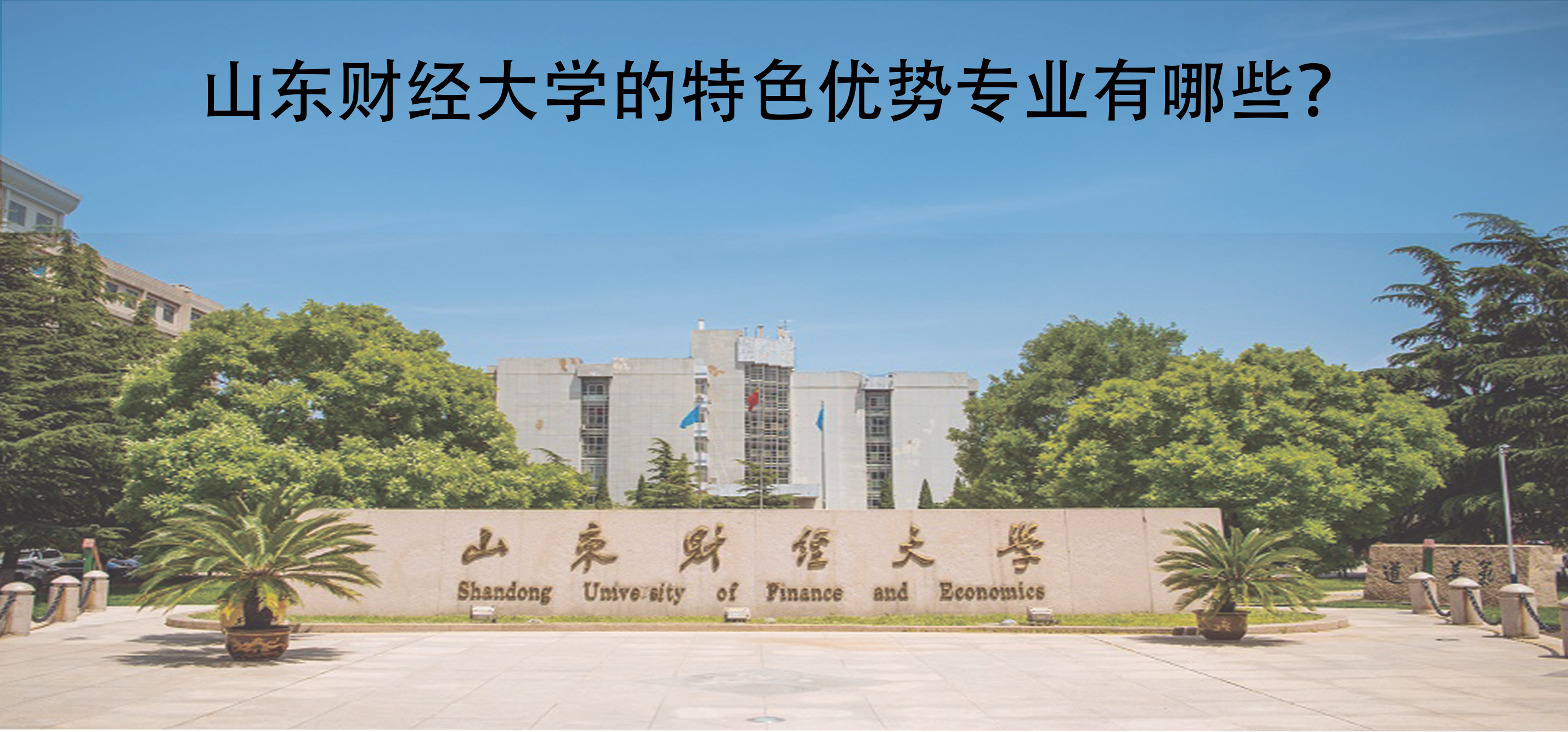 山东财经大学的特色优势专业有哪些？