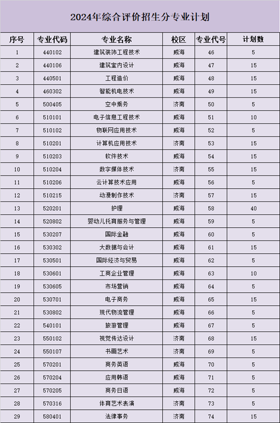 山东外事职业大学2024年单独招生综合评价招生计划